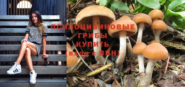 мяу мяу кристалл Алзамай