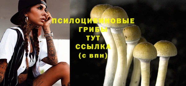 стаф Мегион