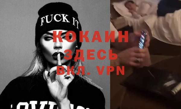 хмурый Алексин