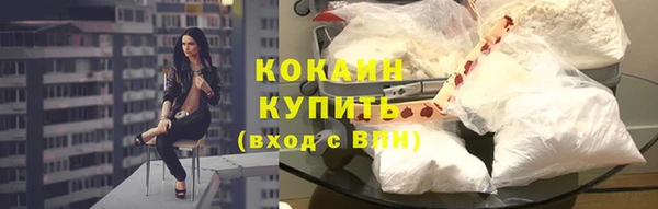 крисы Абдулино