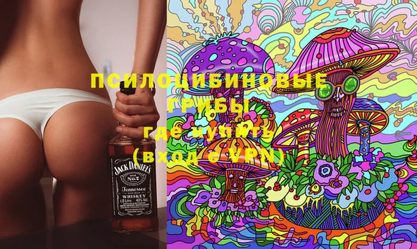 хмурый Алексин