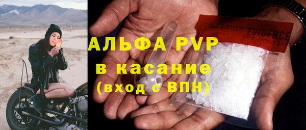 хмурый Алексин