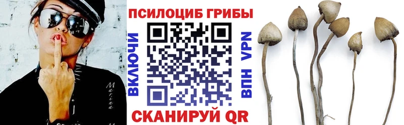 Галлюциногенные грибы Magic Shrooms  Челябинск 