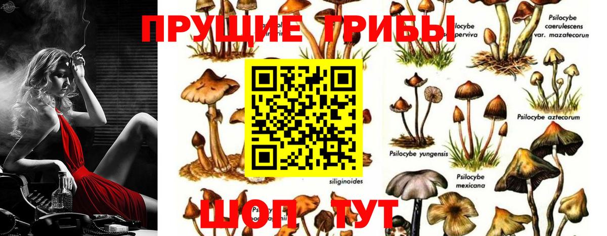 Псилоцибиновые грибы Magic Shrooms  Вход с VPN  Челябинск 